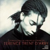 Terence Trent D'Arby - Rain